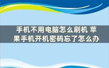 手机不用电脑怎么刷机 苹果手机开机密码忘了怎么办